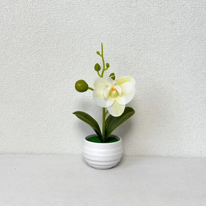 Lebensechte Orchideen Blumenkübel Dekoration