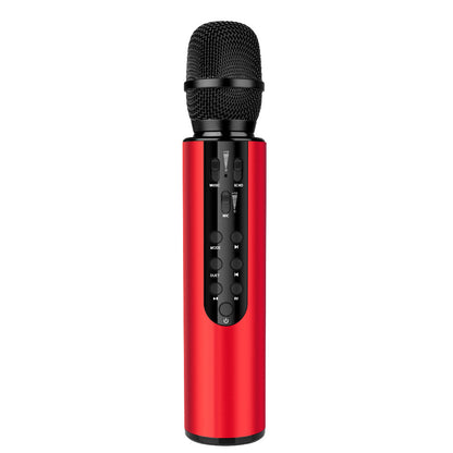 Kabelloses Karaoke-Mikrofon mit Echo-Steuerung Brehn