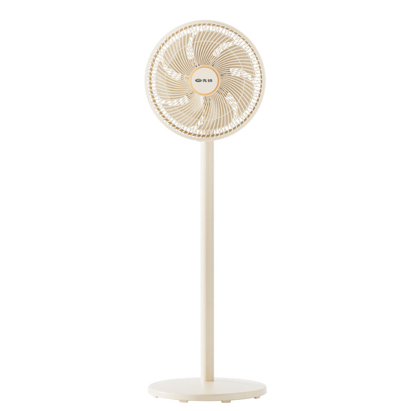 Damen Standventilator Brehn