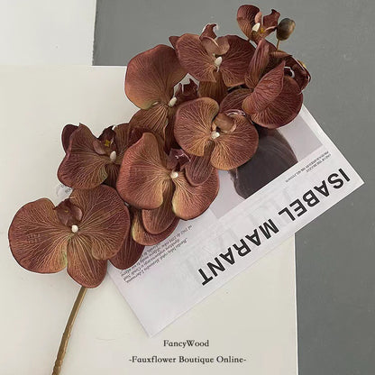 Elegante Orchidee Stiel