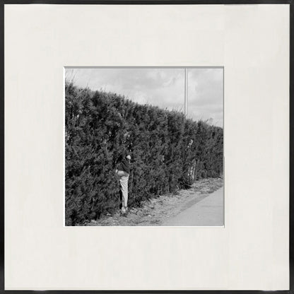 Eingerahmter Monochromer Kunstdruck