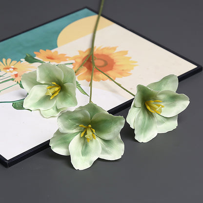 Dekorative Blumenstiel für die Innendekoration