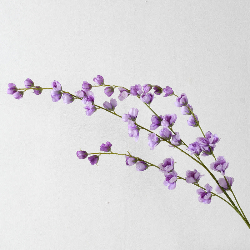 Dekorative florale Erbsenblütenstielanordnung