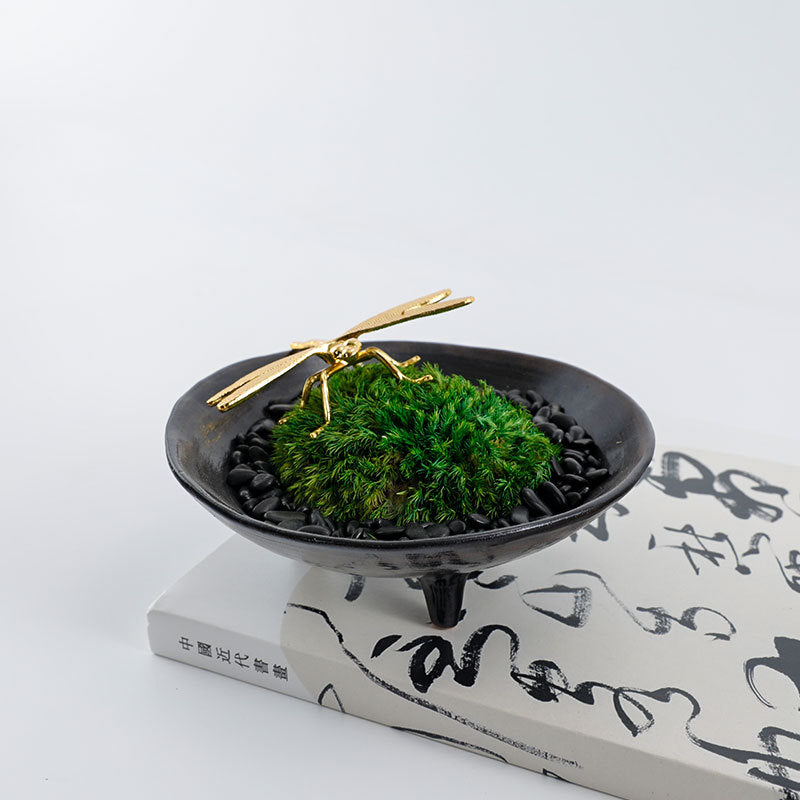 Dekorative Botanische Anzeige