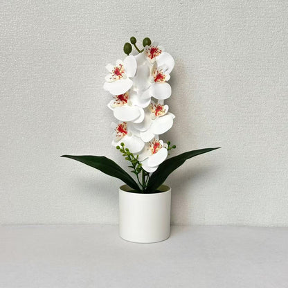 Lebensechte Orchideenblumen-Dekoration