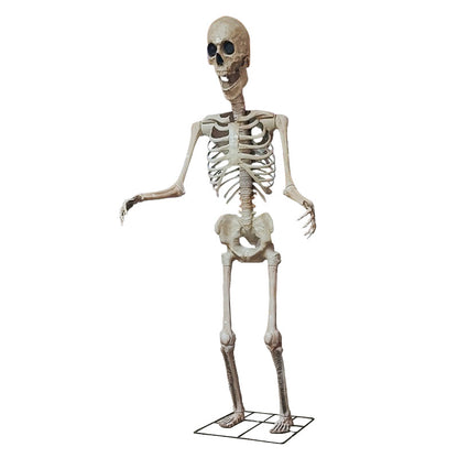 Lebensgroß anatomisches Skelett Requisit Brehn