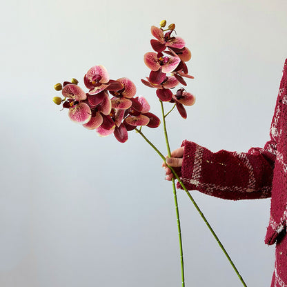 Elegante Blumenmuster-Jacke