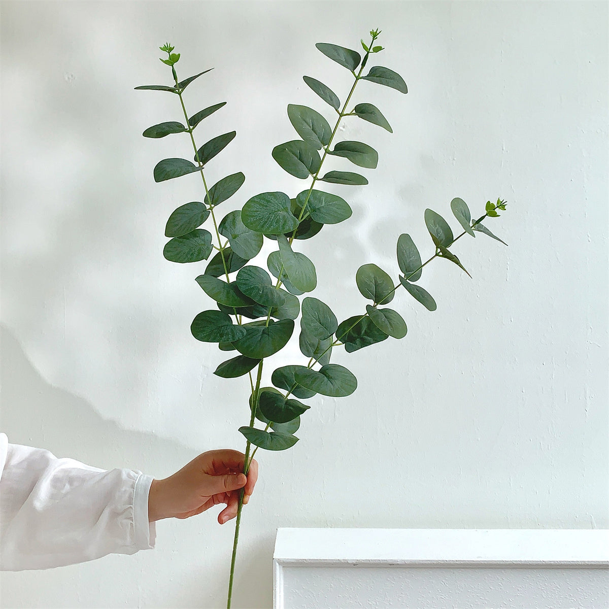 Dekorativer Eukalyptus-Stiel