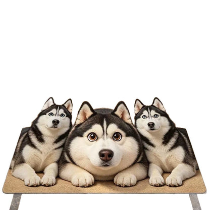 Corgi-Themen-Plüsch-Teppich Brehn