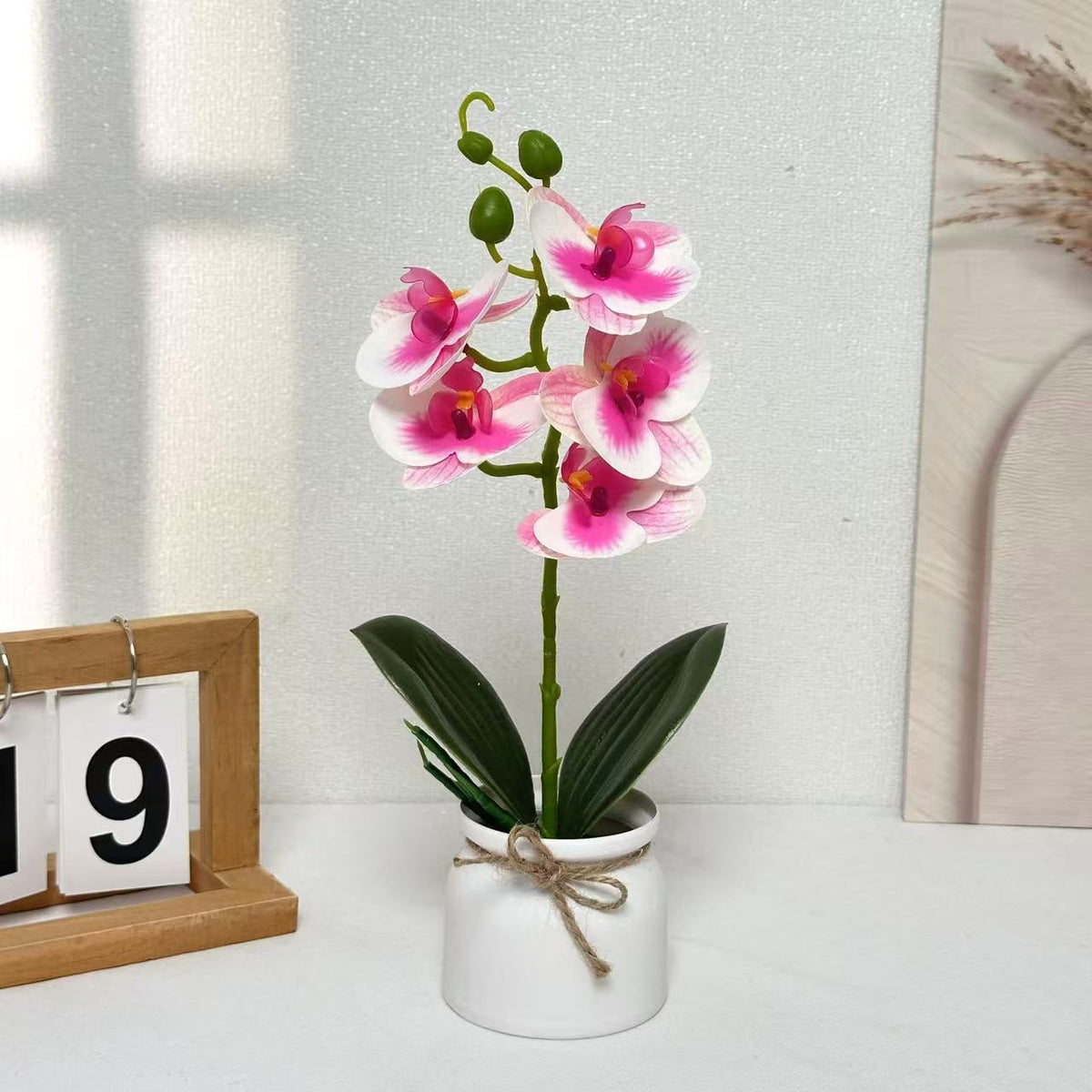Lebensechte Orchideenpflanzenanordnung für die Innendekoration