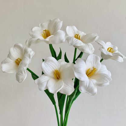Heimdekorative Blume