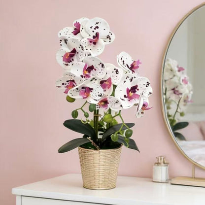Künstliche Orchidee Florale Anzeige für Innenraumdeko