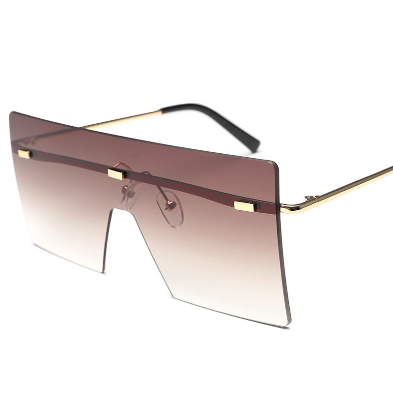 Damen Modische Schildpatt Sonnenbrille Brehn