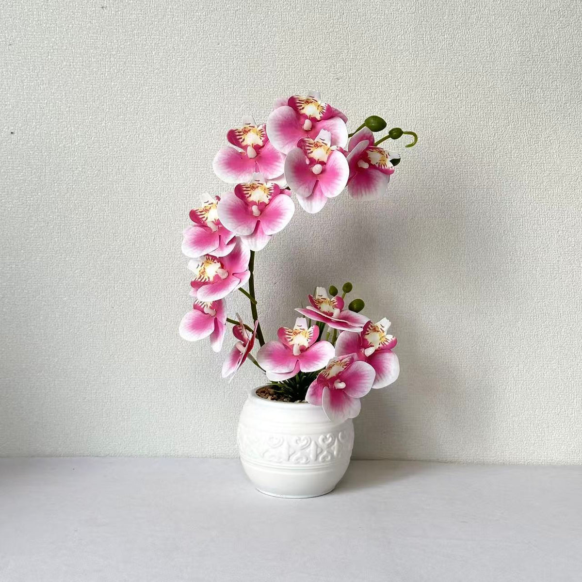 Premium Orchideenpflanzenarrangement