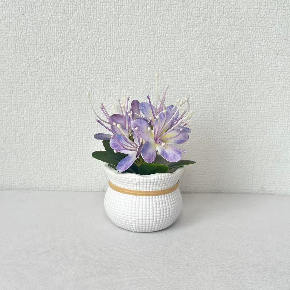 Dekorative florale Anzeige für Wohnkultur Anzeige