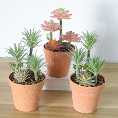 Künstliches Sukkulent-Planzenarrangement