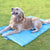 Kühlmatte   Hundebett