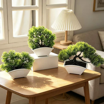 Dekorativer Bonsai-Baum 1790480631 für Wohnkultur