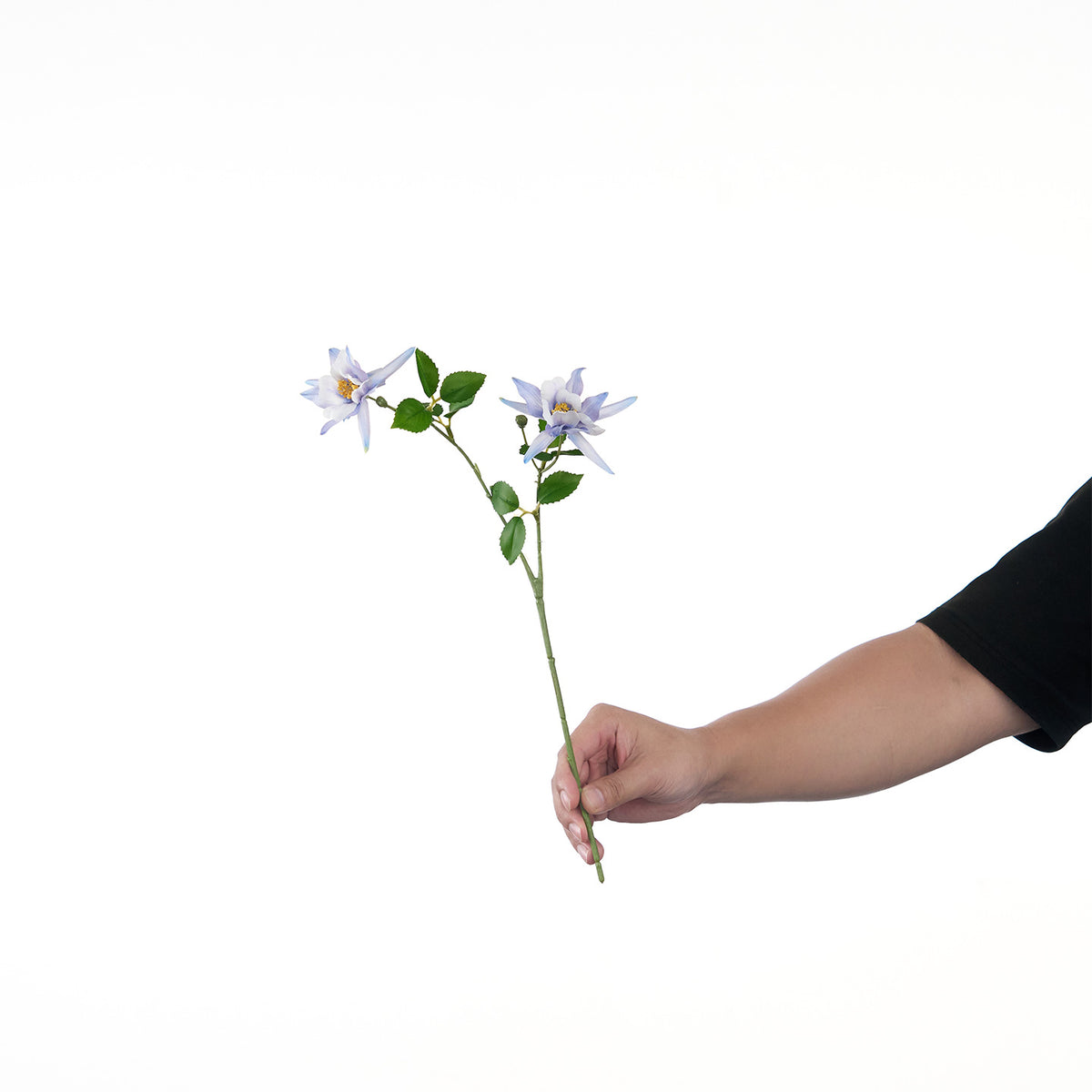 Lebensechte Mehrblütenblumenstiel