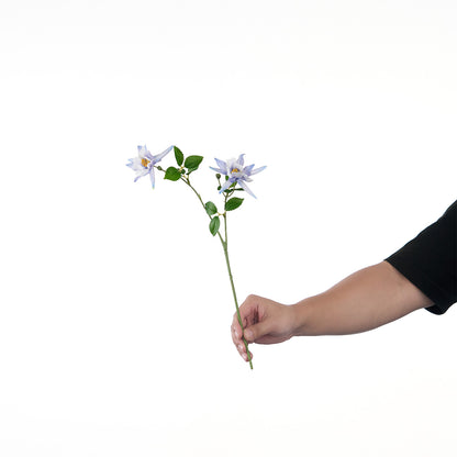 Lebensechte Mehrblütenblumenstiel