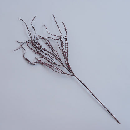Elegante getrocknete botanische Stiele