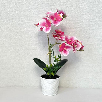 Künstliche Orchideenarrangement für dekorative Innenausstellung