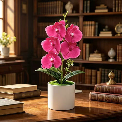 Lebensechte florale Orchideenpflanze für die Wohnkultur