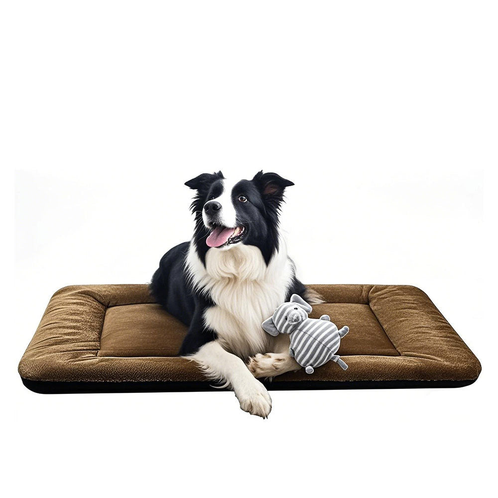 Orthopädisches unterstützendes Hundebett