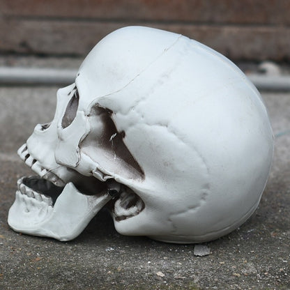 Dekorativer Skull Telefonständer Brehn 1790561033