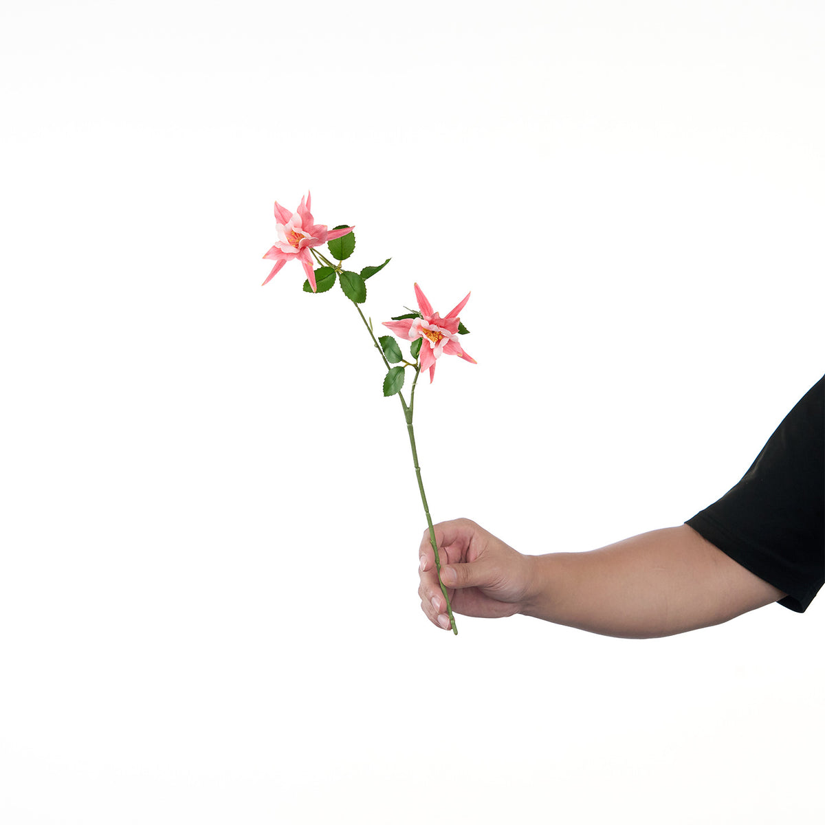 Lebensechte Mehrblütenblumenstiel