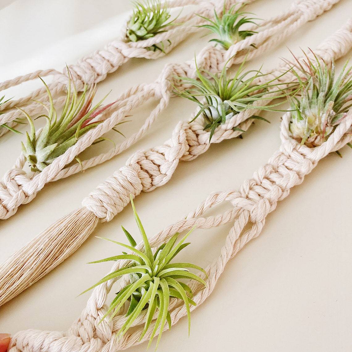Elegante Macrame-Pflanzenwandbehänge Brehn