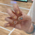 Glitzernde Nagelspitzen mit Eleganten Schmuckakzenten Brehn