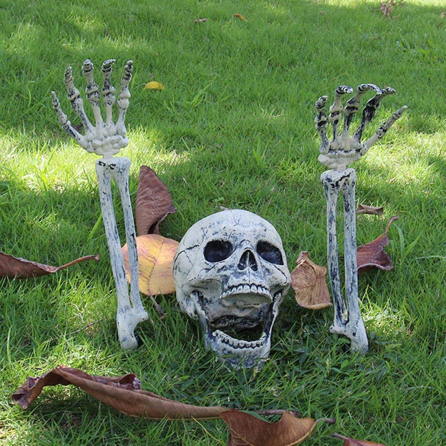 Dekorative Skelett-Hand und Schädel-Dekor Brehn