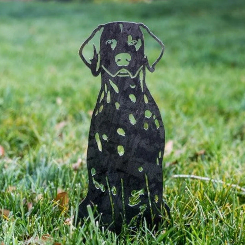 Cairn Terrier | Brehn