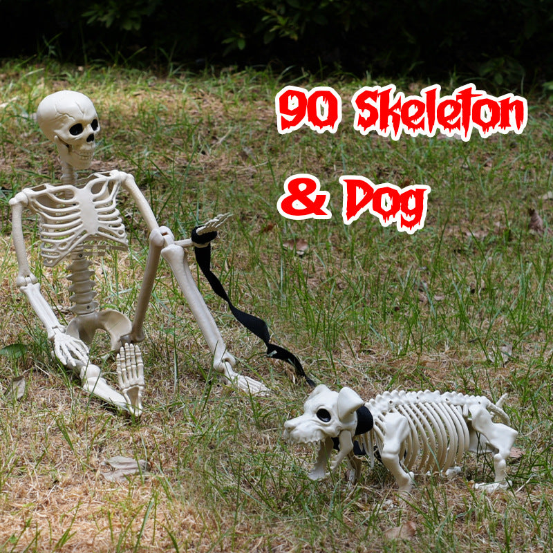 Skelett Hund Spaziergang Dekoration Brehn