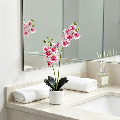 Lebensechte Orchidee Home-Dekor