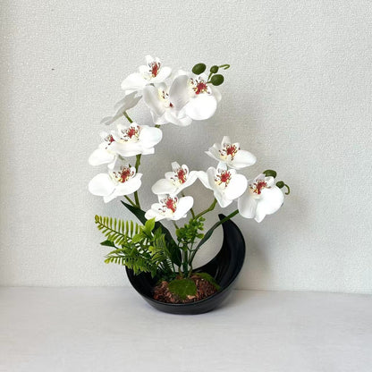 Lebensechte Orchideenblütenanzeige
