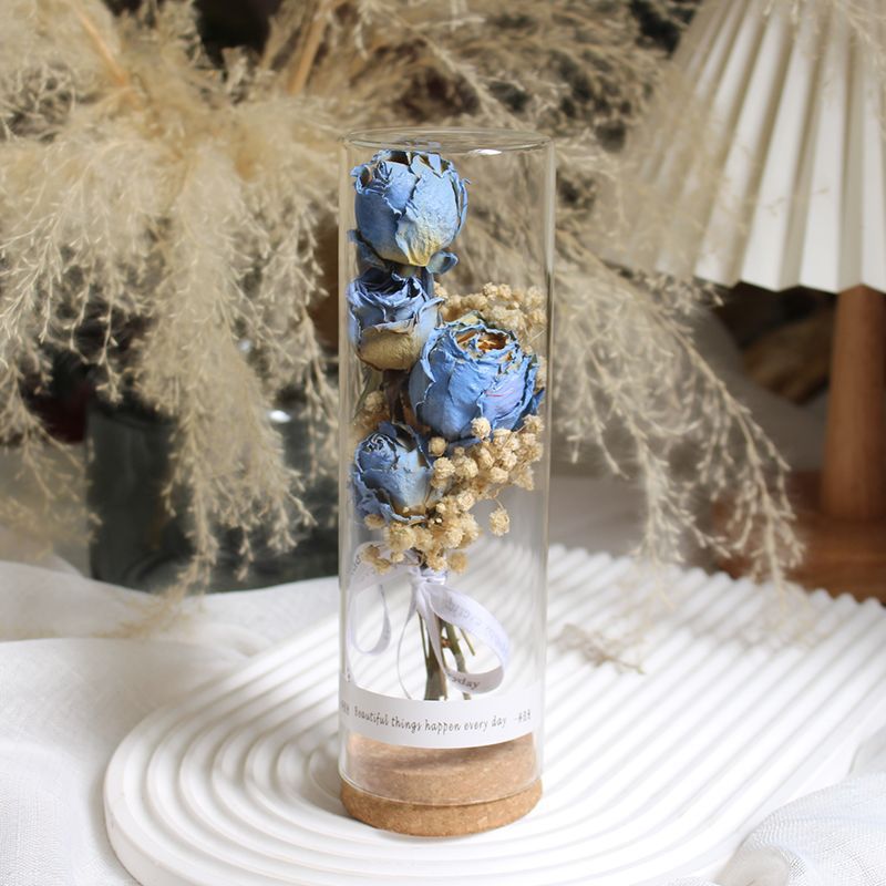 Konserviertes Blumendisplay im eleganten Glaskylinder