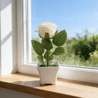 Künstliche Orchideenpflanze für dekorative Wohnraumgestaltung