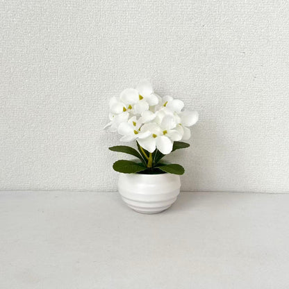 Lebensechte Miniatur Pothos Orchideenpflanze