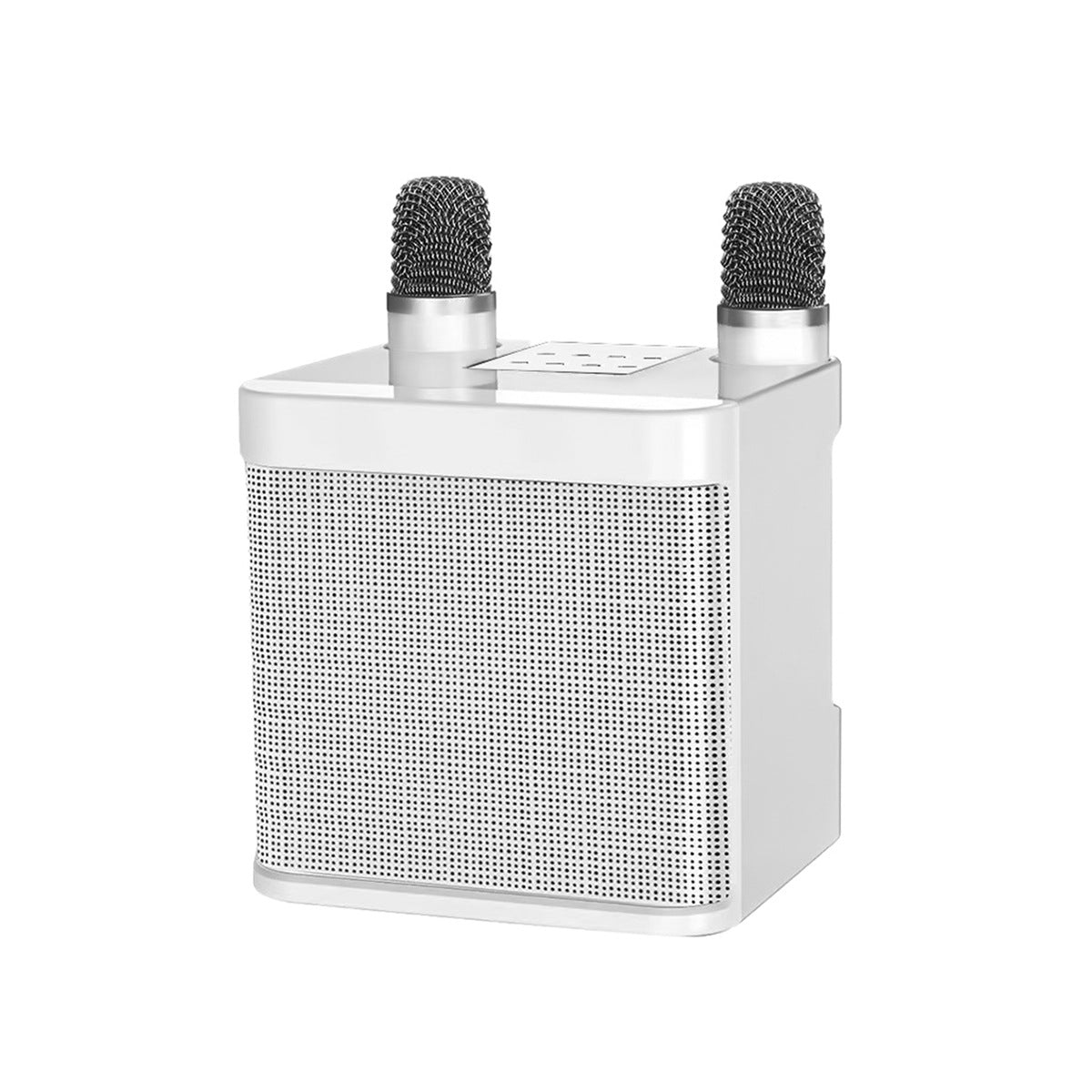 Dual-Mikrofon Karaoke-Lautsprecher Brehn