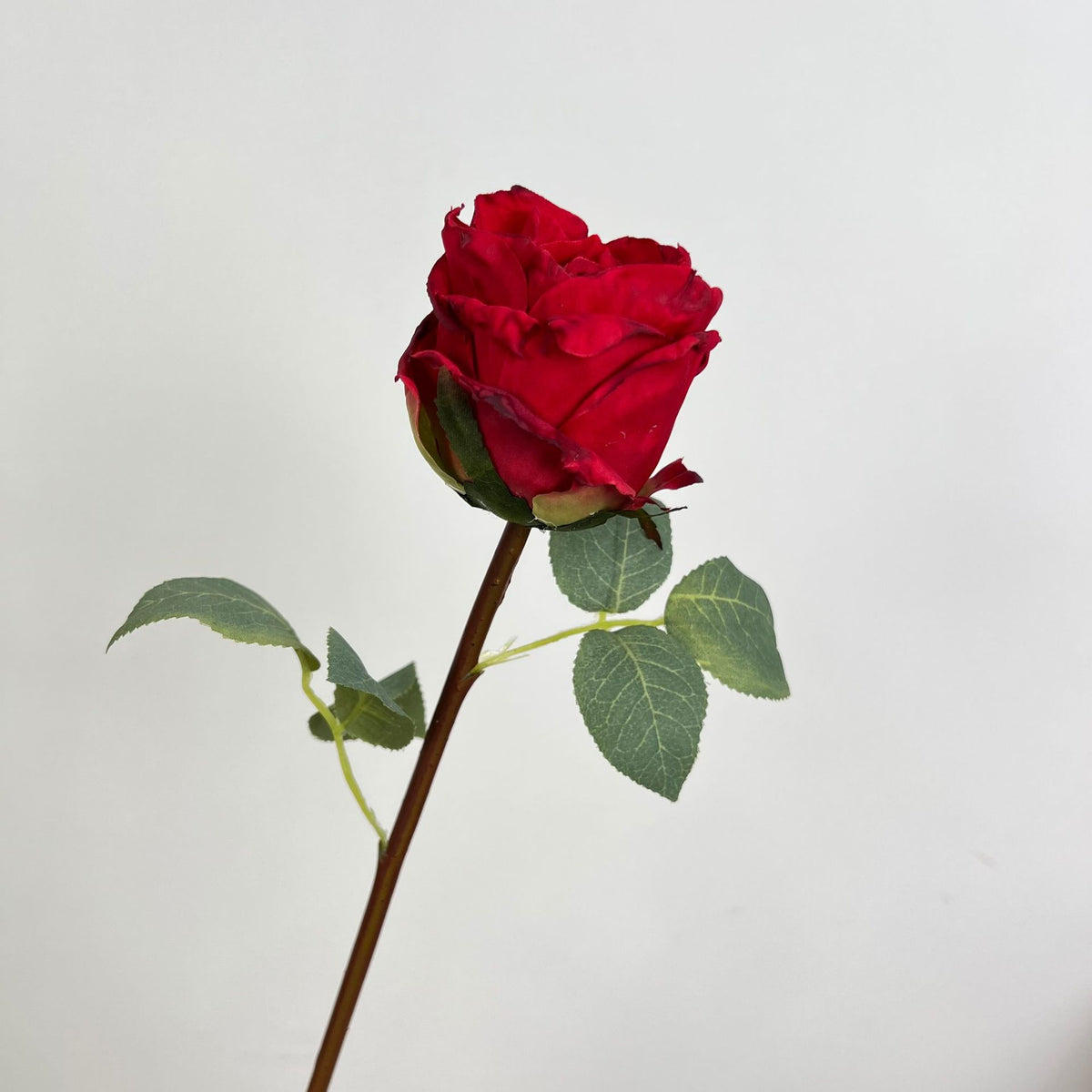 Natürlich aussehende Blumen Dekoration