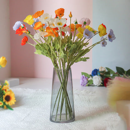 Lebensnahe Topfpflanze Ranunkel Blütenstiel