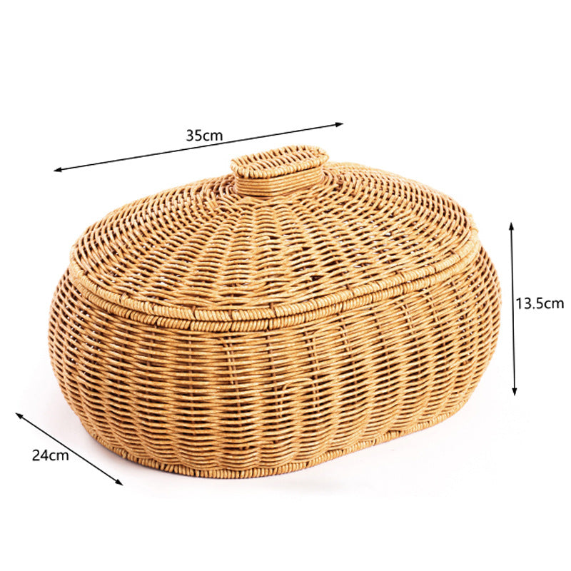 Woven Storage Container with Lid Brehn