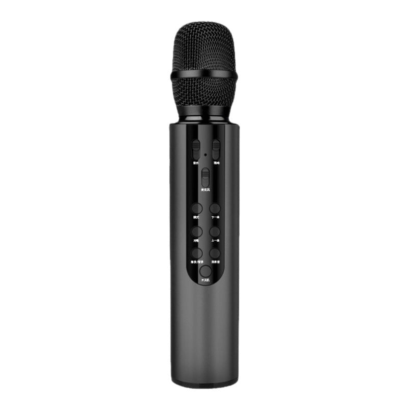 Kabelloses Karaoke-Mikrofon mit Echo-Steuerung Brehn