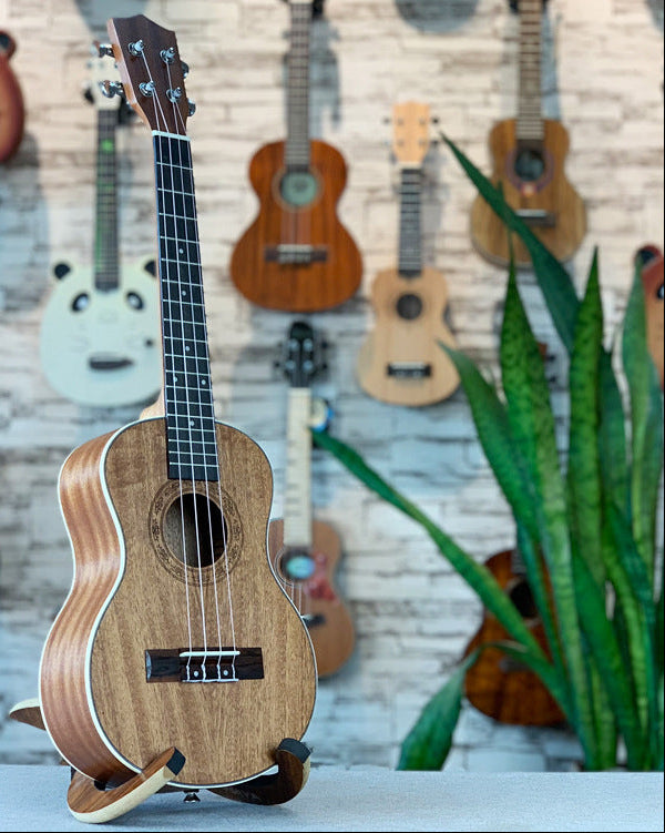 Premium Akustische Ukulele Brehn
