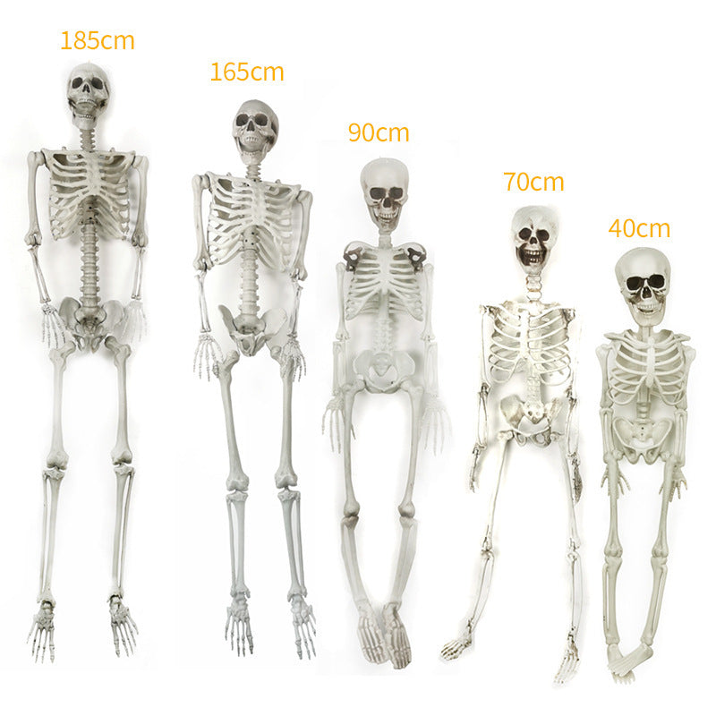 Realistische Dekorative Skelettfiguren Brehn