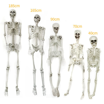 Realistische Dekorative Skelettfiguren Brehn