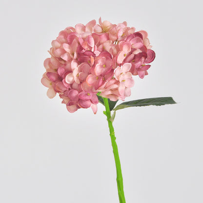Elegante Kunsthortensienstängel