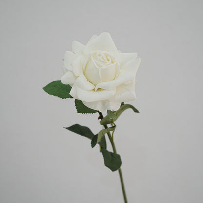 Lebensnahe Gartenrose Stiel